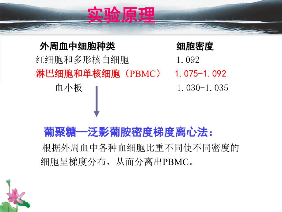 分子医学技能：实验一-淋巴细胞的分离、计数_第3页