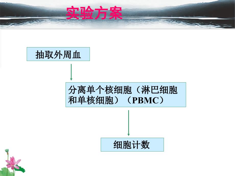 分子医学技能：实验一-淋巴细胞的分离、计数_第4页