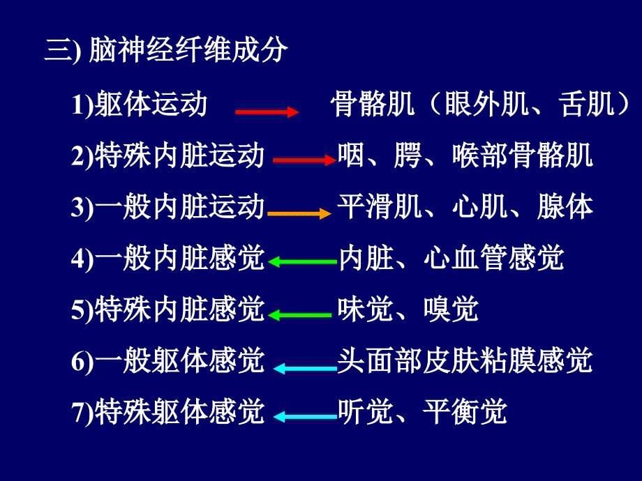 《临床神经解剖》PPT课件_第5页