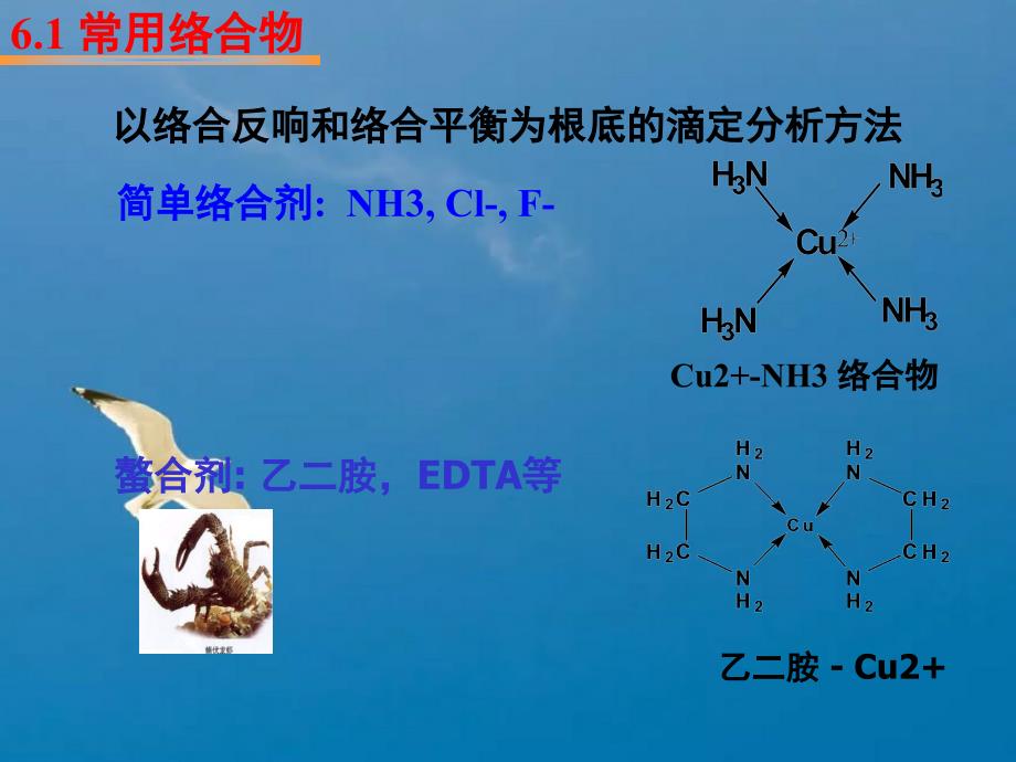 络合平衡和络合滴定法2ppt课件_第2页