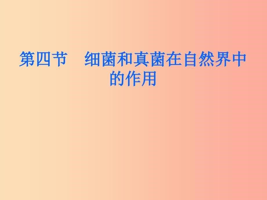 八年级生物上册5.4.4细菌和真菌在自然界中的作用课件2 新人教版.ppt_第5页