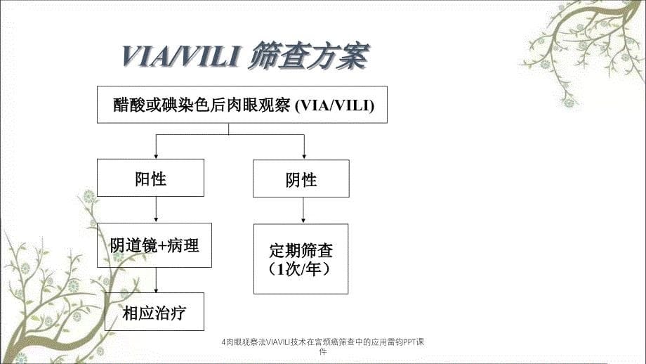 4肉眼观察法VIAVILI技术在宫颈癌筛查中的应用雷钧PPT课件_第5页