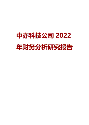 中亦科技公司2022年财务分析研究报告