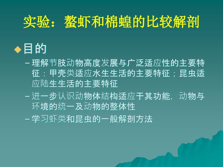 螯虾和棉蝗的比较解剖_第1页