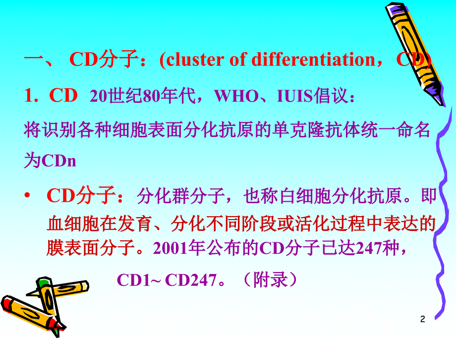 CD分子和粘附分子【PPT】_第2页