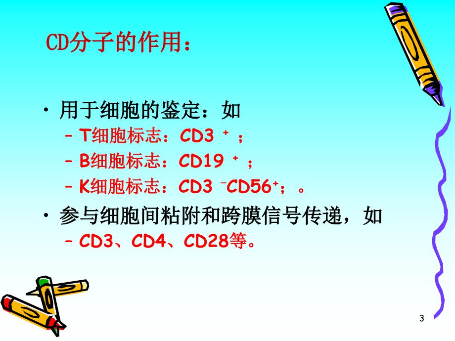 CD分子和粘附分子【PPT】_第3页