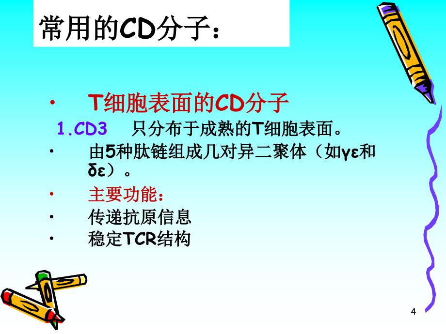 CD分子和粘附分子【PPT】_第4页