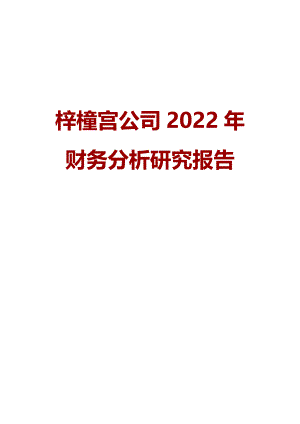 梓橦宫公司2022年财务分析研究报告