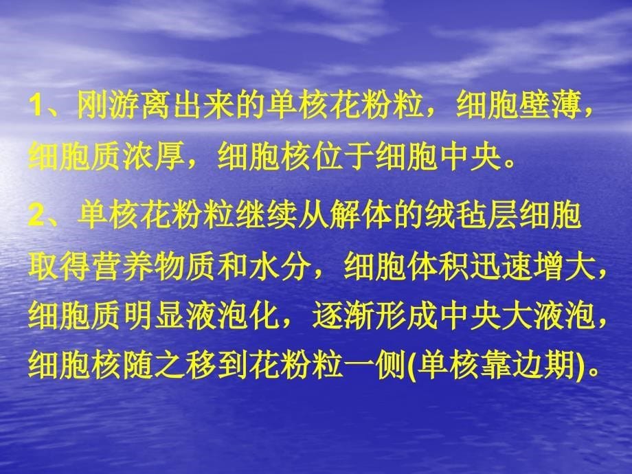 雄蕊的发育与结构花粉粒的发育与结构_第5页