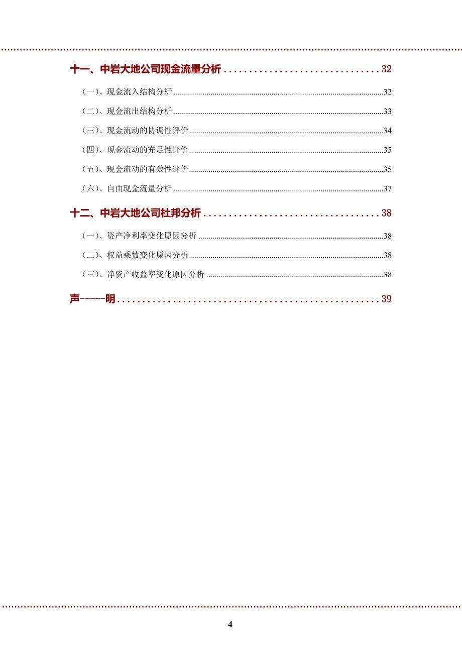 中岩大地公司2022年财务分析研究报告_第5页