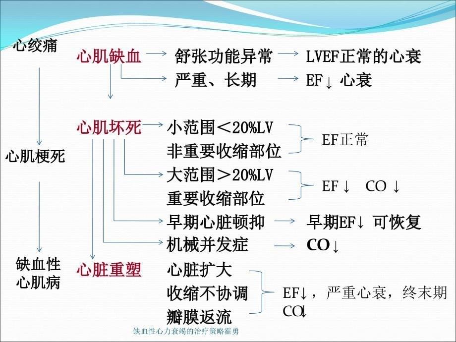 缺血性心力衰竭的治疗策略霍勇课件_第5页