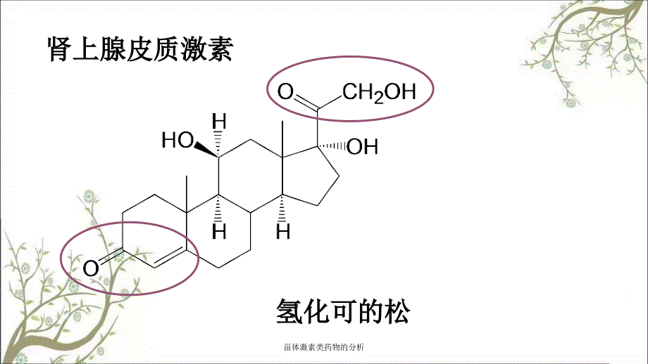 甾体激素类药物的分析_第4页