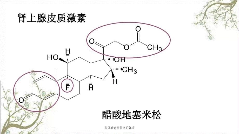 甾体激素类药物的分析_第5页