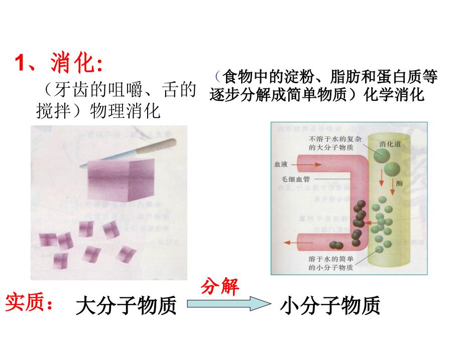 《水无机盐维生素》PPT课件_第4页