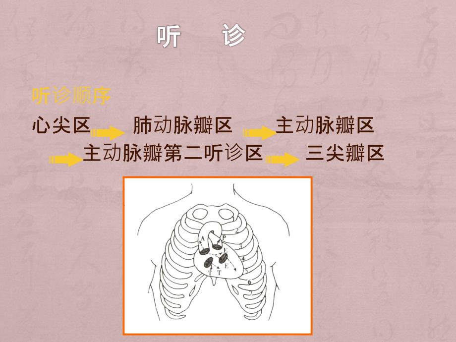 心脏检体诊断讲课_第4页