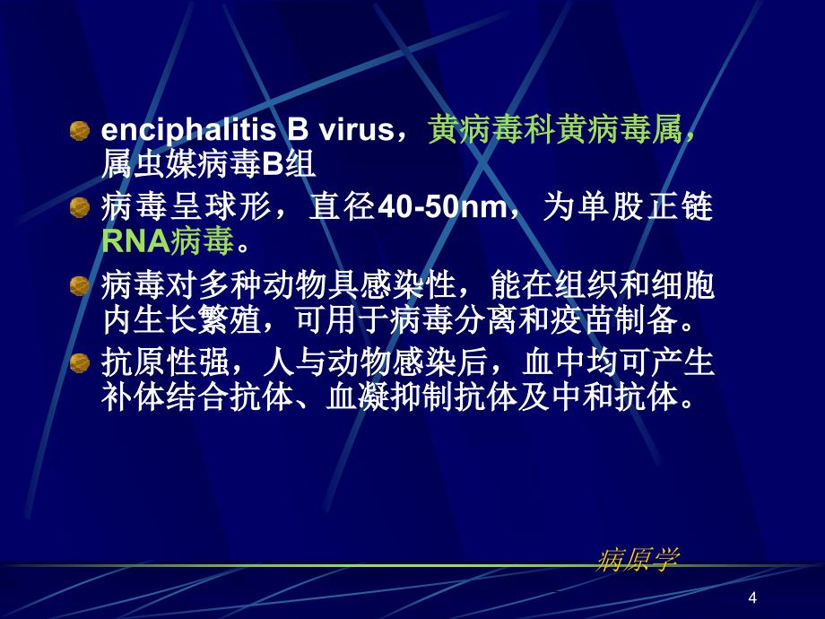 西医传染病学流行性乙型脑炎课件_第4页