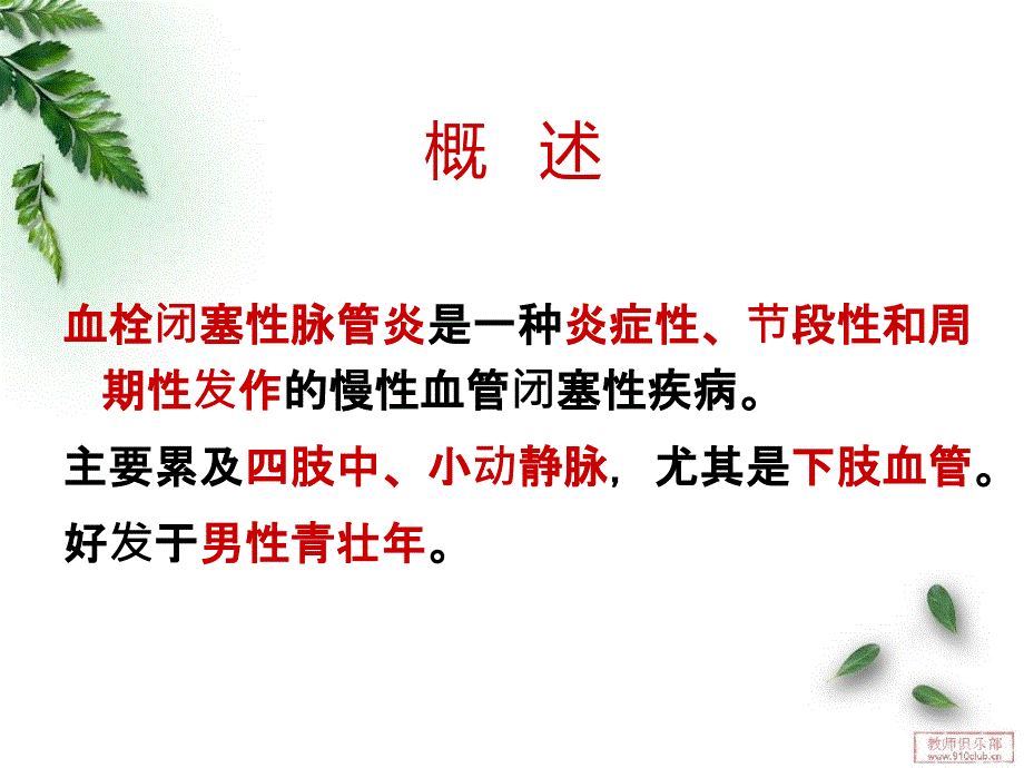 血栓闭塞性脉管炎病人的护理精品ppt_第3页