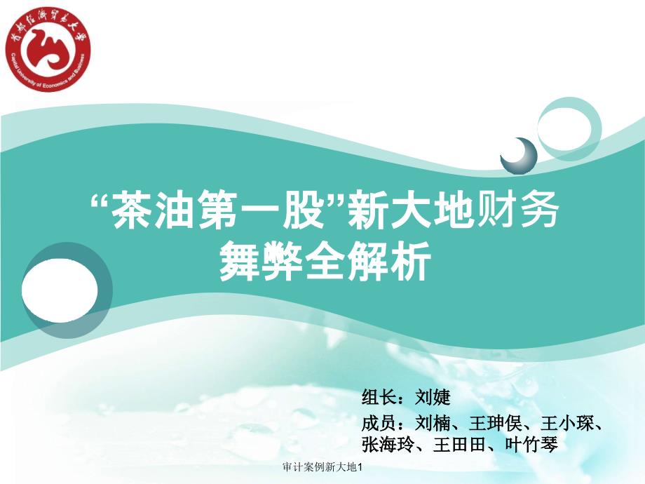 审计案例新大地1课件_第1页