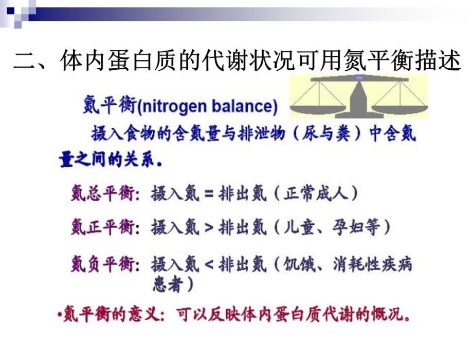 《蛋白质的分解代谢》PPT课件.ppt_第4页