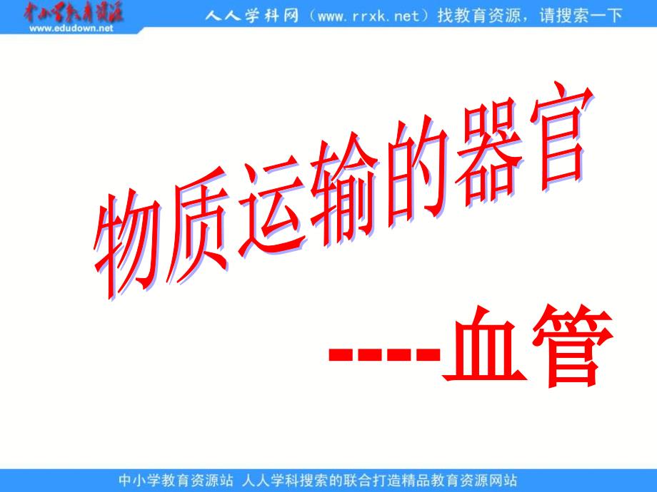 济南生物七下物质运输的器官ppt课件5_第2页