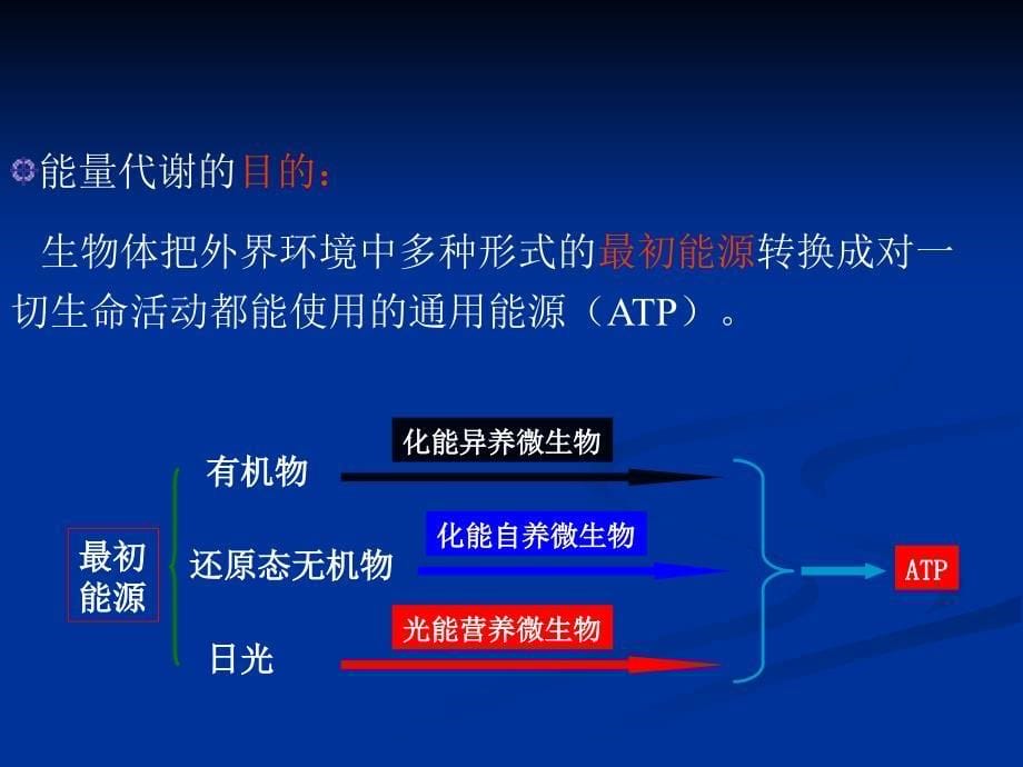 第五章-微生物的新陈代谢课件_第5页