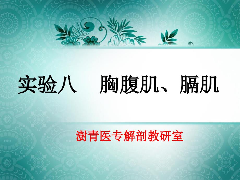 实验八胸腹肌、膈肌_第1页