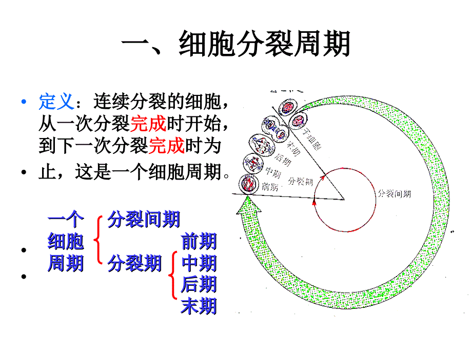 人教版教学课件生物人教版必修一细胞增殖课件_第2页