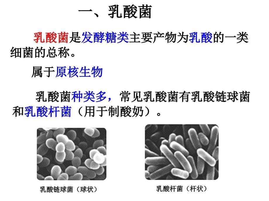 制作泡菜并检测亚硝酸盐含量_第5页