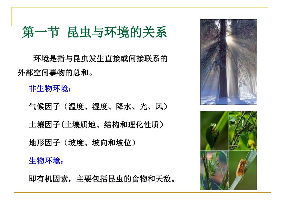 森林昆虫学第四章昆虫生态学_第4页