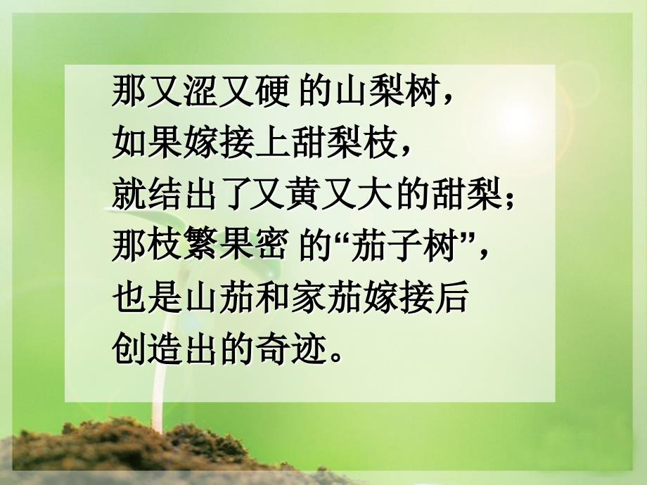 《假如记忆可以移植》课件_第2页