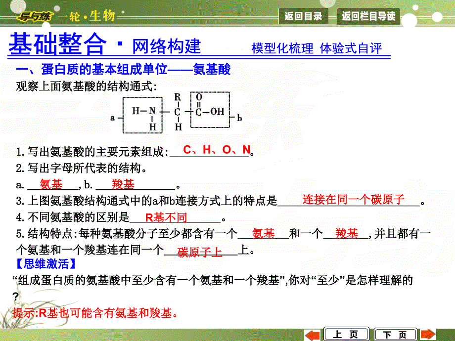 第3讲　生命活动的主要承担者——蛋白质_第3页