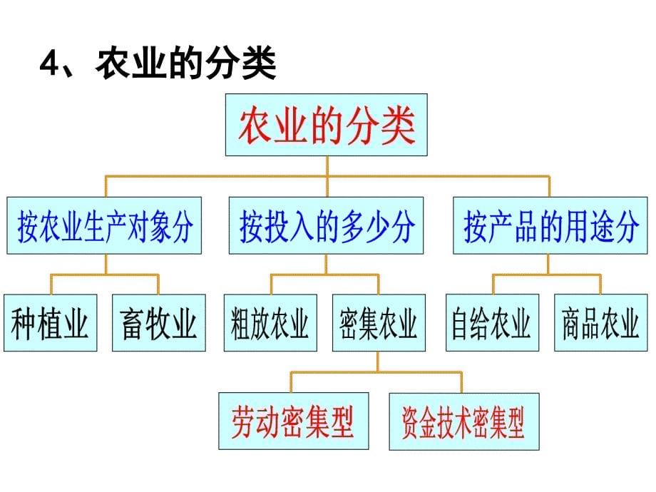 农业地域类型PPT_第5页