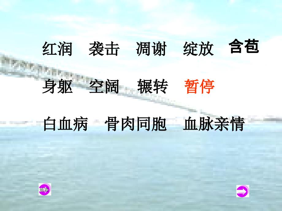 三年级语文下册第5单元20救命骨髓1语文S版ppt课件_第4页