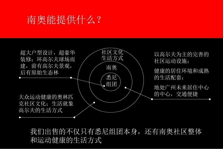 南奥国庆期间广告传播策略_第5页