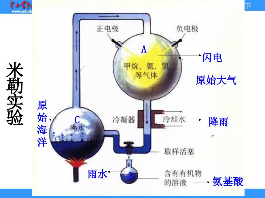 人教版生物八下地球上生命的起源课件3_第3页