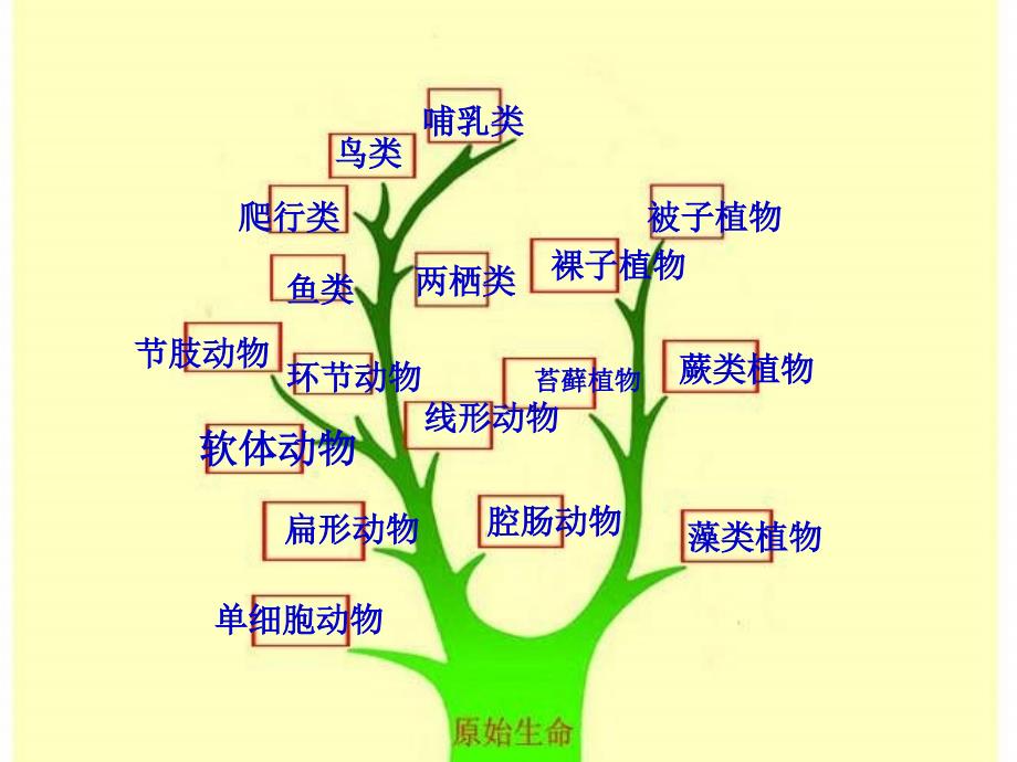 人教版生物八下地球上生命的起源课件3_第4页