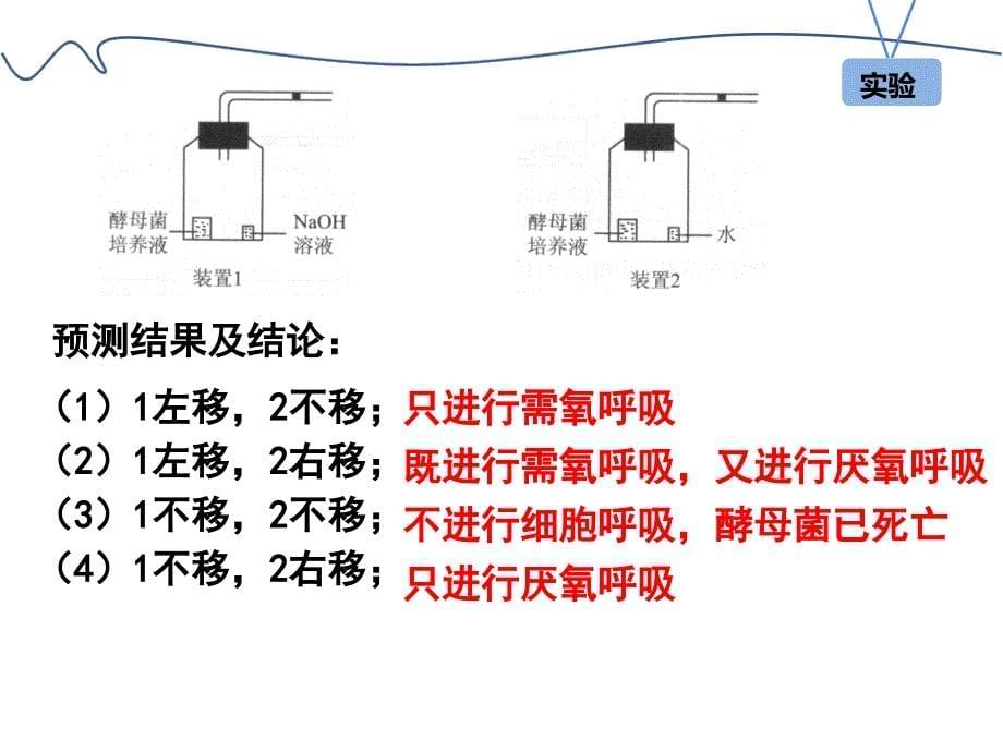 酵母菌细胞呼吸类型的分析.ppt_第5页