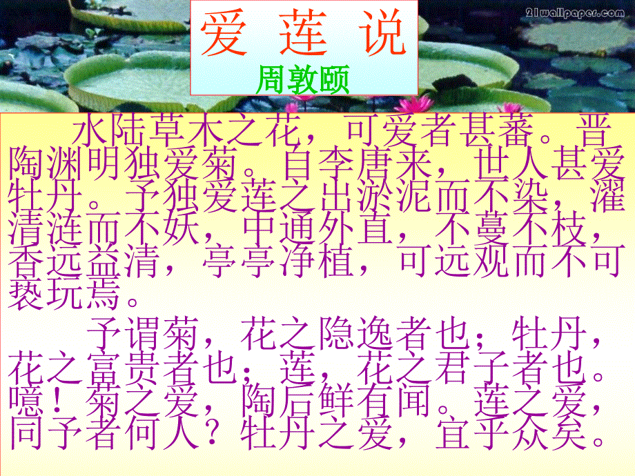 《爱莲说》课件_第4页