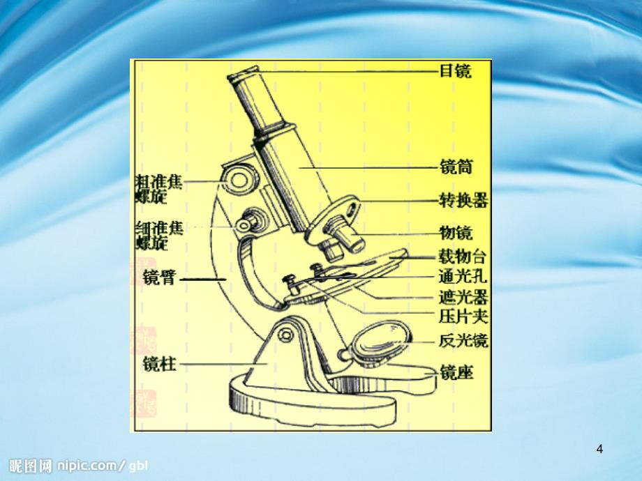 1水滴里的微生物ppt课件_第4页