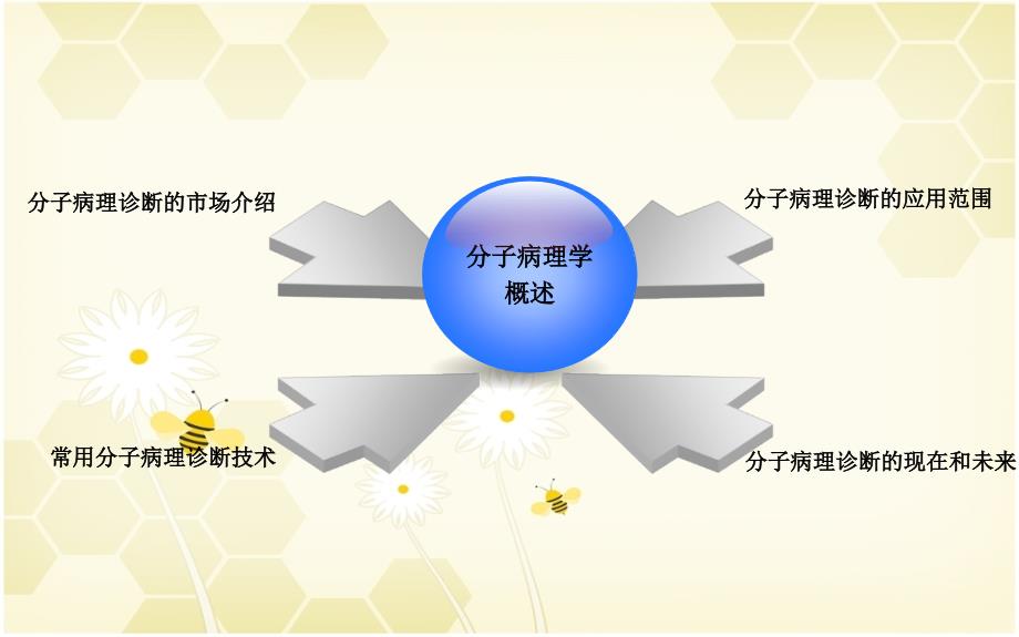 生命科学部新产品培训分子病理诊断_第4页