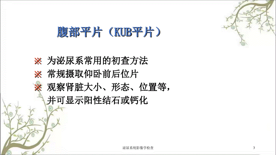 泌尿系统影像学检查课件_第3页