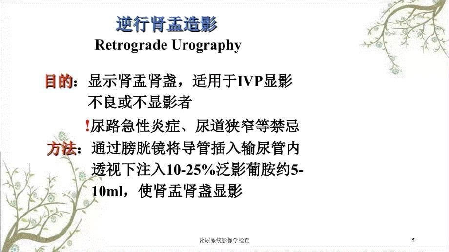 泌尿系统影像学检查课件_第5页