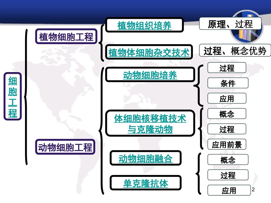 生物：专题2《细胞工程》课件(新人教版选修3)_第2页