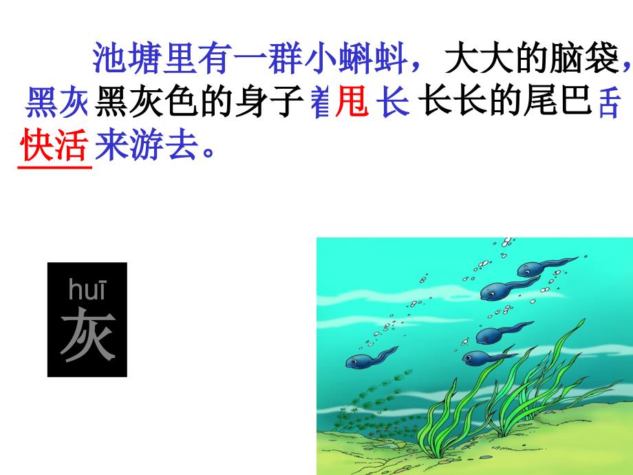 《小蝌蚪找妈妈》课件_第4页