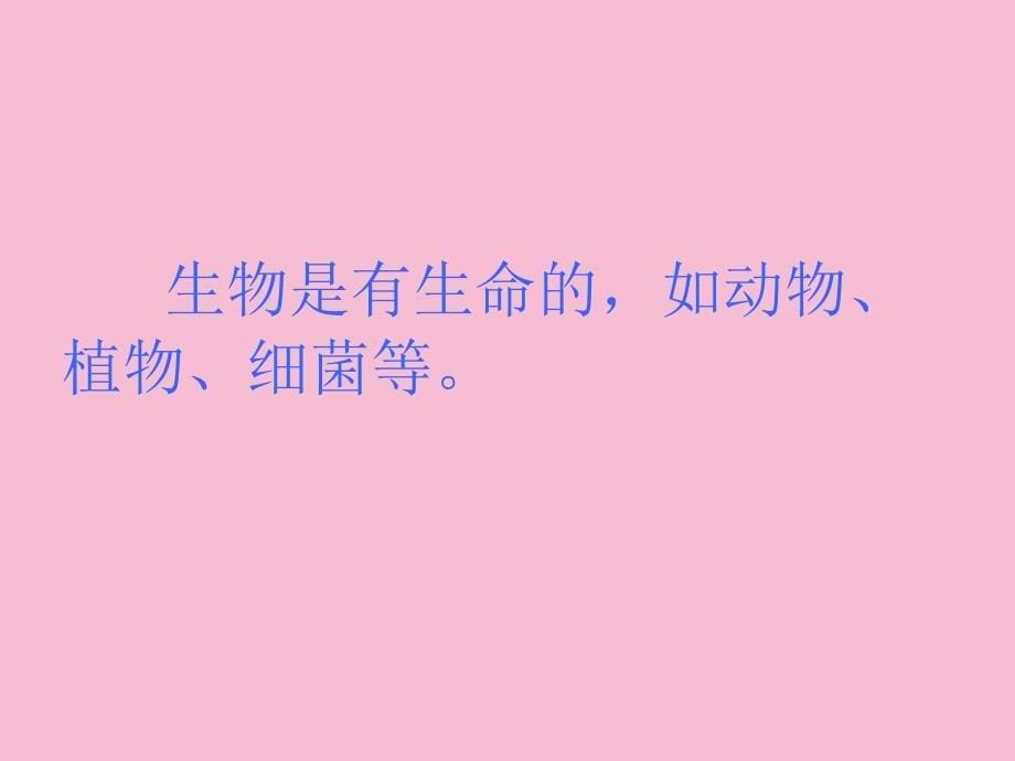 四年级下科学周围的生物冀教版ppt课件_第5页