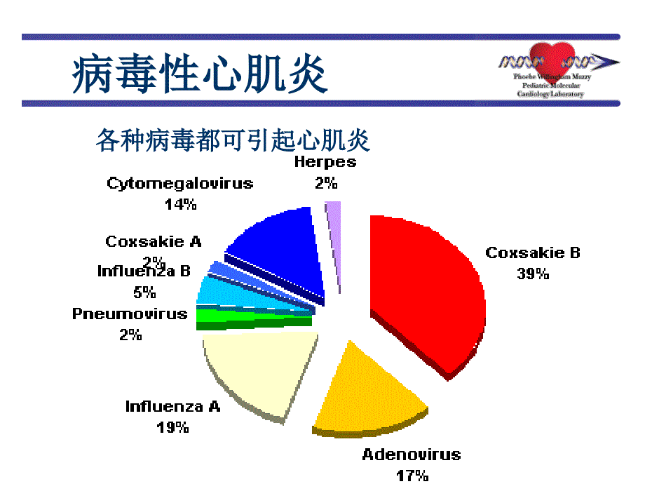 病毒性心肌炎ppt课件_第4页