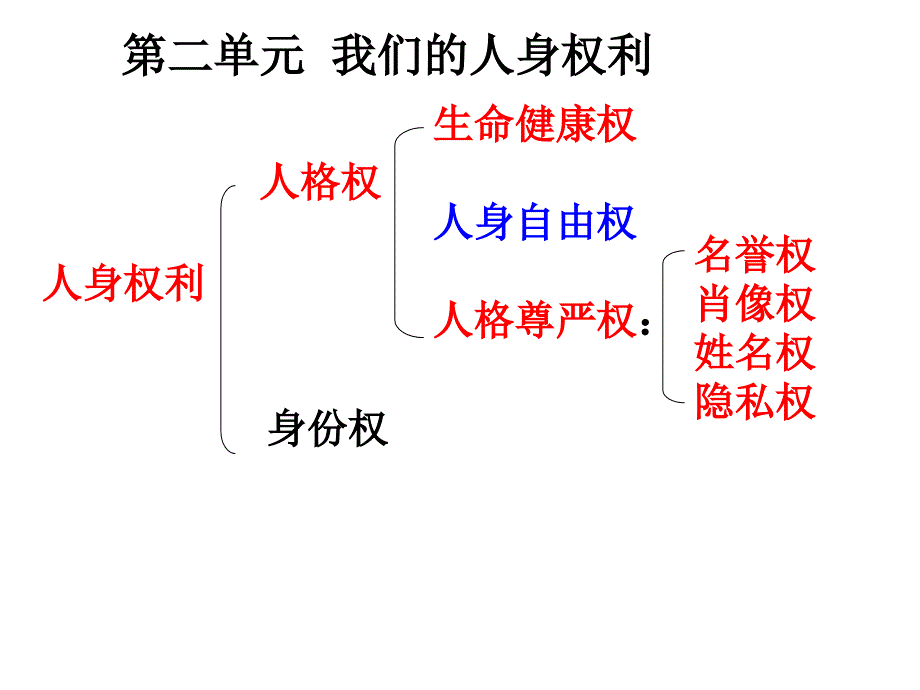 3.1生命与健康的权利_第1页