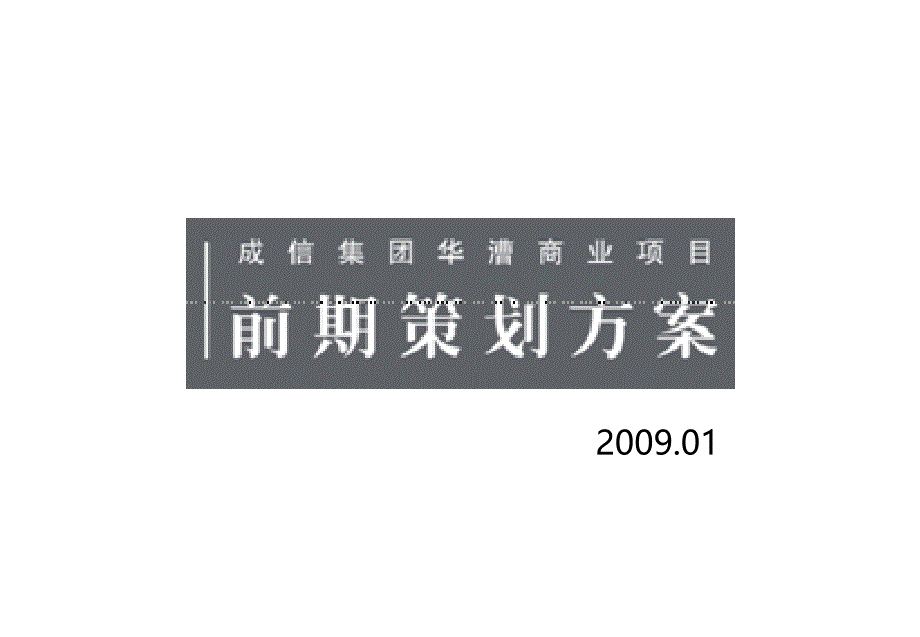 上海成信集团华漕商业项目前期策划方案_第1页