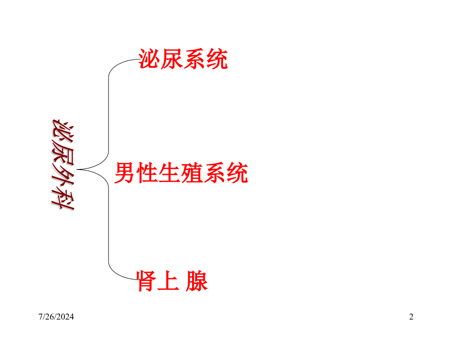 泌尿外科解剖学_第2页