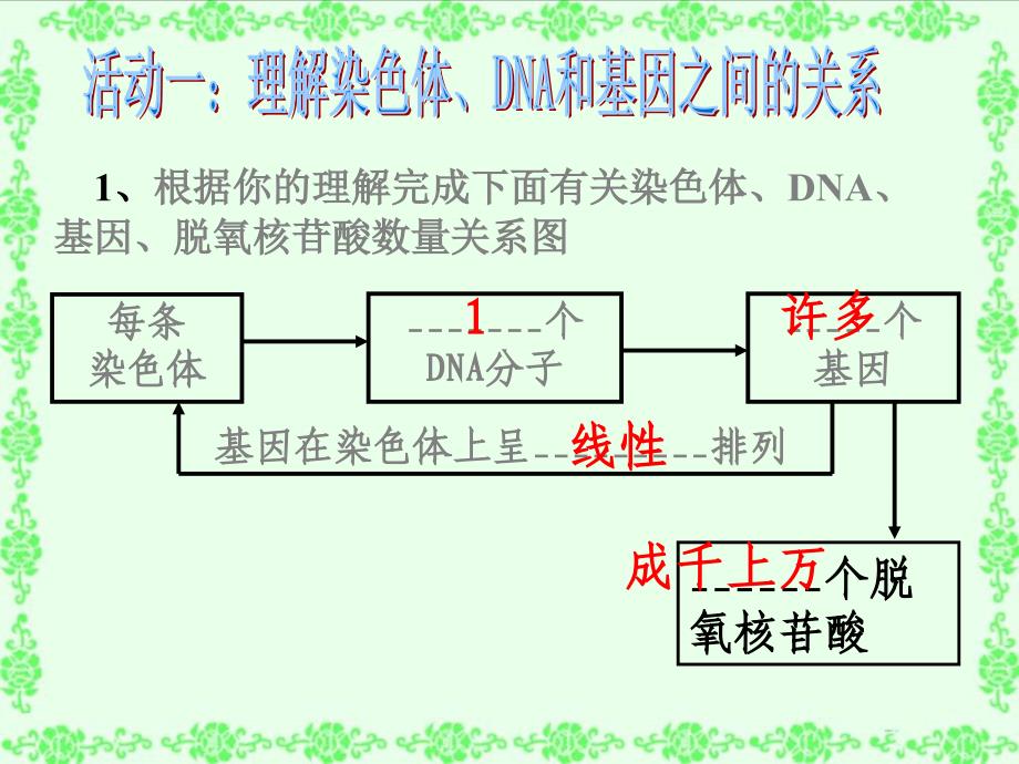 高中生物新课程标准必修2遗传与进化课件_第2页